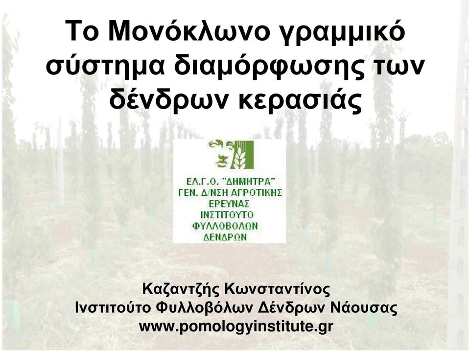 δένδρωνκερασιάς Καζαντζής