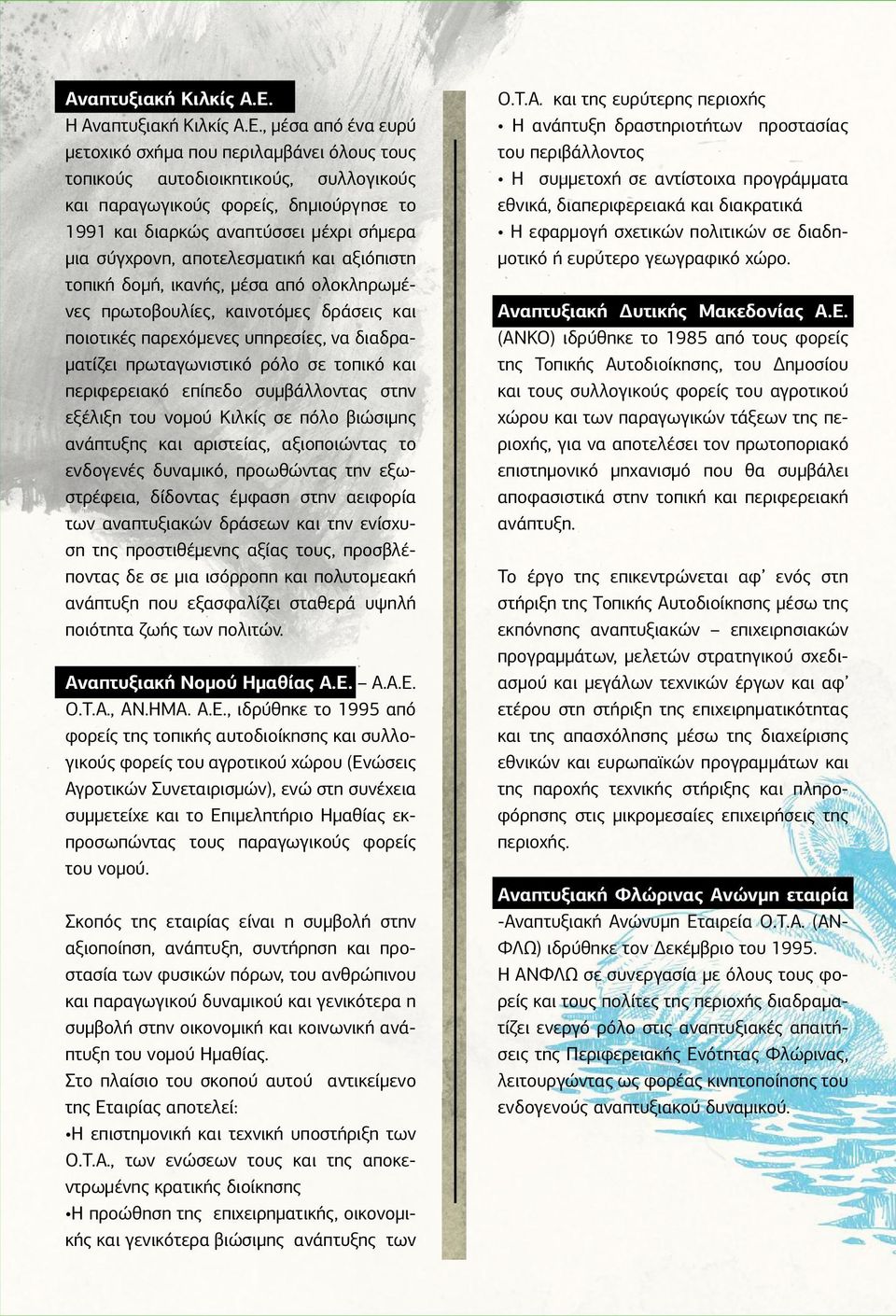 αποτελεσματική και αξιόπιστη τοπική δομή, ικανής, μέσα από ολοκληρωμένες πρωτοβουλίες, καινοτόμες δράσεις και ποιοτικές παρεχόμενες υπηρεσίες, να διαδραματίζει πρωταγωνιστικό ρόλο σε τοπικό και