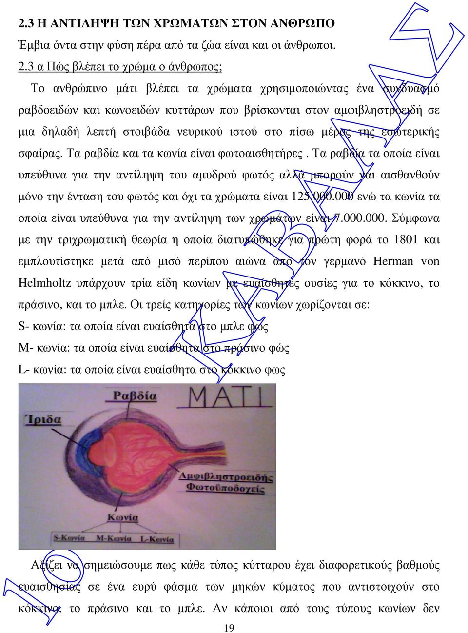 στοιβάδα νευρικού ιστού στο πίσω µέρος της εσωτερικής σφαίρας. Τα ραβδία και τα κωνία είναι φωτοαισθητήρες.