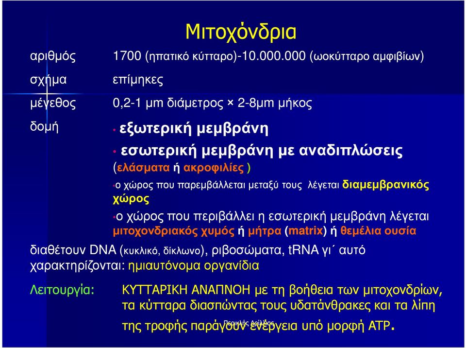 ήακροφιλίες ) ο ο χώρος που παρεµβάλλεται µεταξύ τους λέγεται διαµεµβρανικός χώρος ο ο χώρος που περιβάλλει η εσωτερική µεµβράνη λέγεται µιτοχονδριακός χυµός ήµήτρα