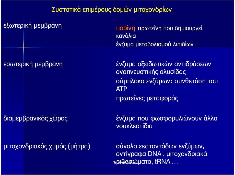 ενζύµων: συνθετάση του ATP πρωτεΐνες µεταφοράς διαµεµβρανικός χώρος ένζυµα που φωσφορυλιώνουν άλλα