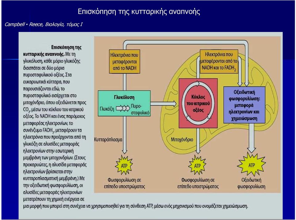 I Επισκόπηση της