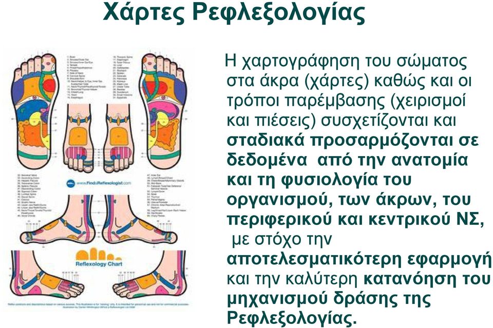 την ανατομία και τη φυσιολογία του οργανισμού, των άκρων, του περιφερικού και κεντρικού ΝΣ, με