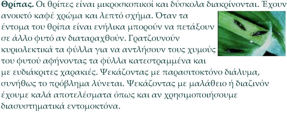 Γρατζουνούν κυριολεκτικά τα φύλλα για να αντλήσουν τους χυμούς του φυτού αφήνοντας τα φύλλα κατεστραμμένα και με ευδιάκριτες