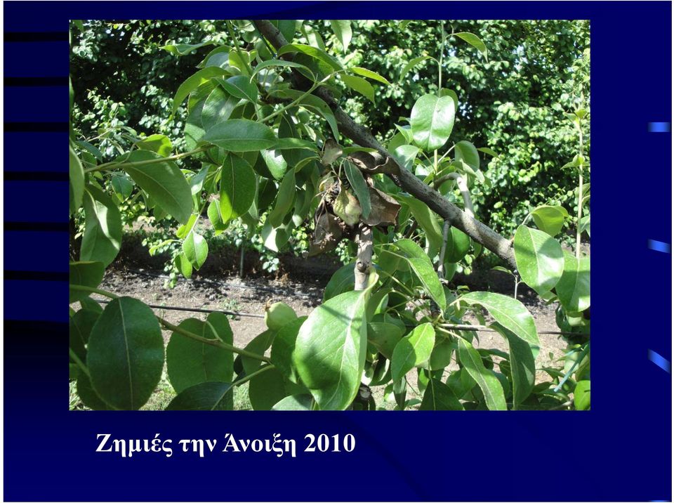 Άνοιξη