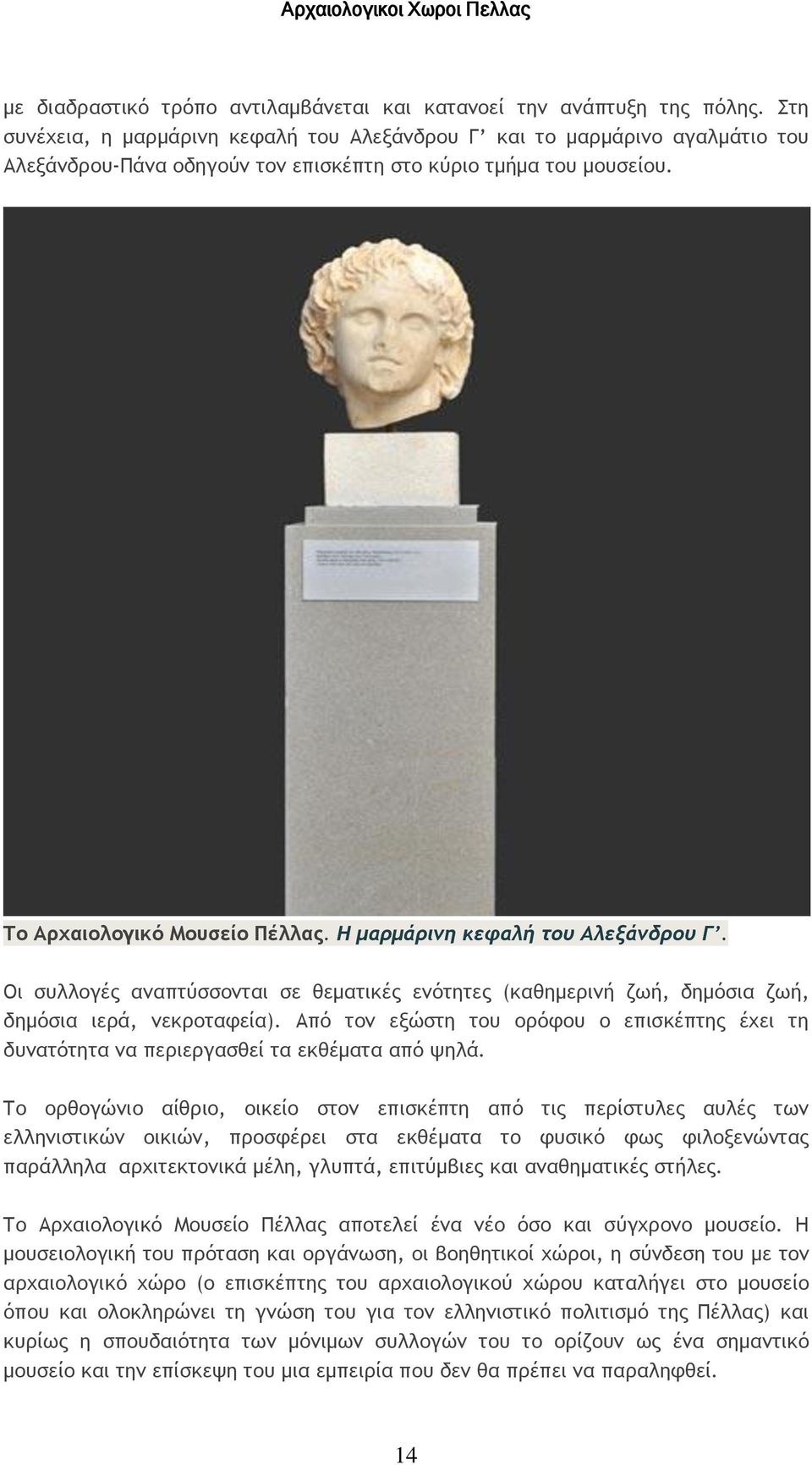 Η μαρμάρινη κεφαλή του Αλεξάνδρου Γ. Οι συλλογές αναπτύσσονται σε θεματικές ενότητες (καθημερινή ζωή, δημόσια ζωή, δημόσια ιερά, νεκροταφεία).