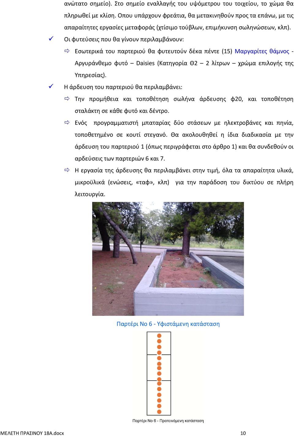 Εσωτερικά του παρτεριού θα φυτευτούν δέκα πέντε (15) Μαργαρίτες θάμνος - Αργυράνθεμο φυτό Daisies (Κατηγορία Θ2 2 λίτρων χρώμα επιλογής της Υπηρεσίας).