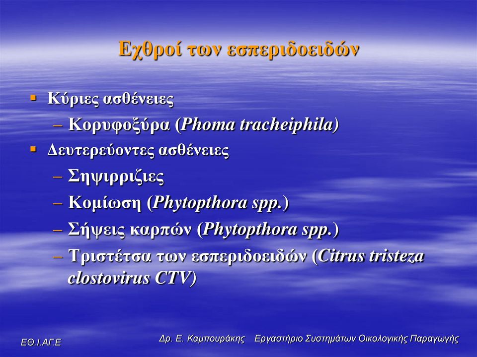 Κομίωση (Phytopthora spp.) Σήψεις καρπών (Phytopthora spp.