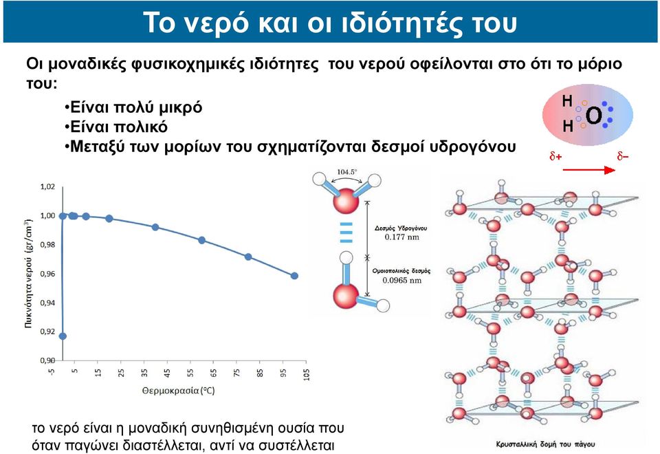 του σχηματίζονται δεσμοί υδρογόνου.