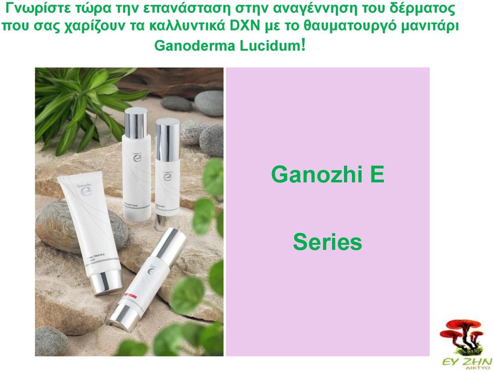 ταρίδοσλ ηα θαιισληηθά DXN κε ηο