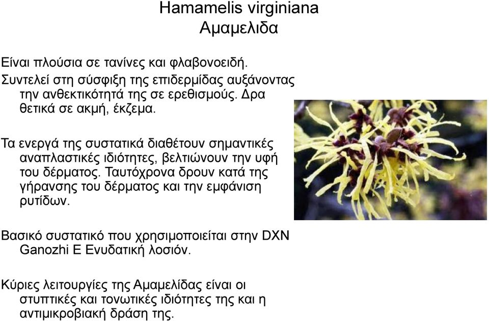 Τα εκενβά ηδξ ζοζηαηζηά δζαεέημοκ ζδιακηζηέξ ακαπθαζηζηέξ ζδζόηδηεξ, αεθηζώκμοκ ηδκ οθή ημο δένιαημξ.