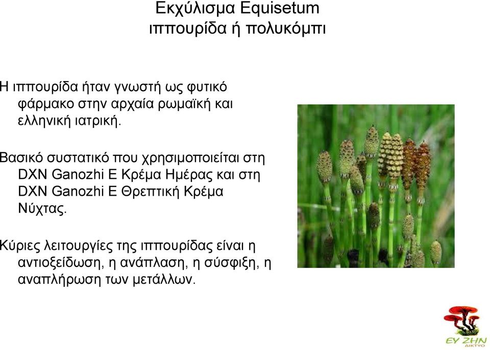 Βαζζηό ζοζηαηζηό πμο πνδζζιμπμζείηαζ ζηδ DXN Ganozhi E Κνέια Ηιέναξ ηαζ ζηδ DXN