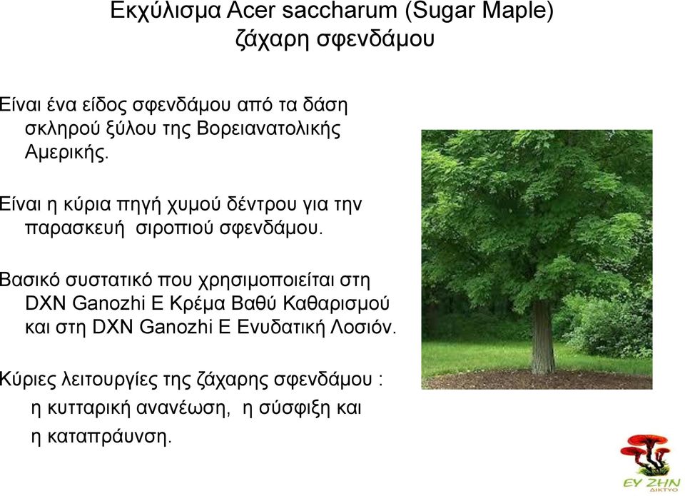 Δίκαζ δ ηύνζα πδβή ποιμύ δέκηνμο βζα ηδκ παναζηεοή ζζνμπζμύ ζθεκδάιμο.