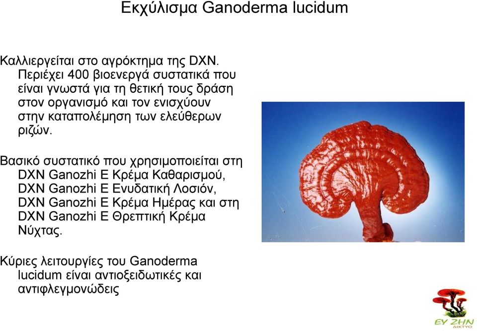 ηαηαπμθέιδζδ ηςκ εθεύεενςκ νζγώκ.