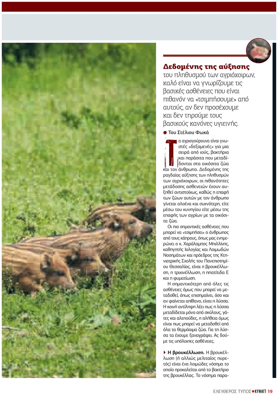 Δεδομένης της ραγδαίας αύξησης των πληθυσμών των αγριόχοιρων, οι πιθανότητες μετάδοσης ασθενειών έχουν αυξηθεί αντιστοίχως, καθώς η επαφή των ζώων αυτών με τον άνθρωπο γίνεται ολοένα και συχνότερη,