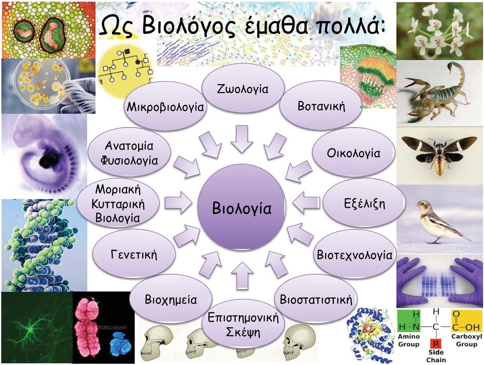 Κυτταρική Βιολογία Βιολογία Εξέλιξη Γενετική