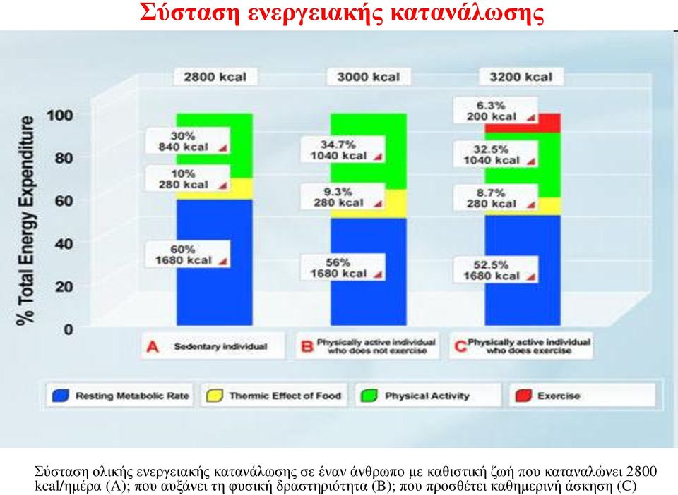 ζωή που καταναλώνει 2800 kcal/ημέρα (A); που αυξάνει