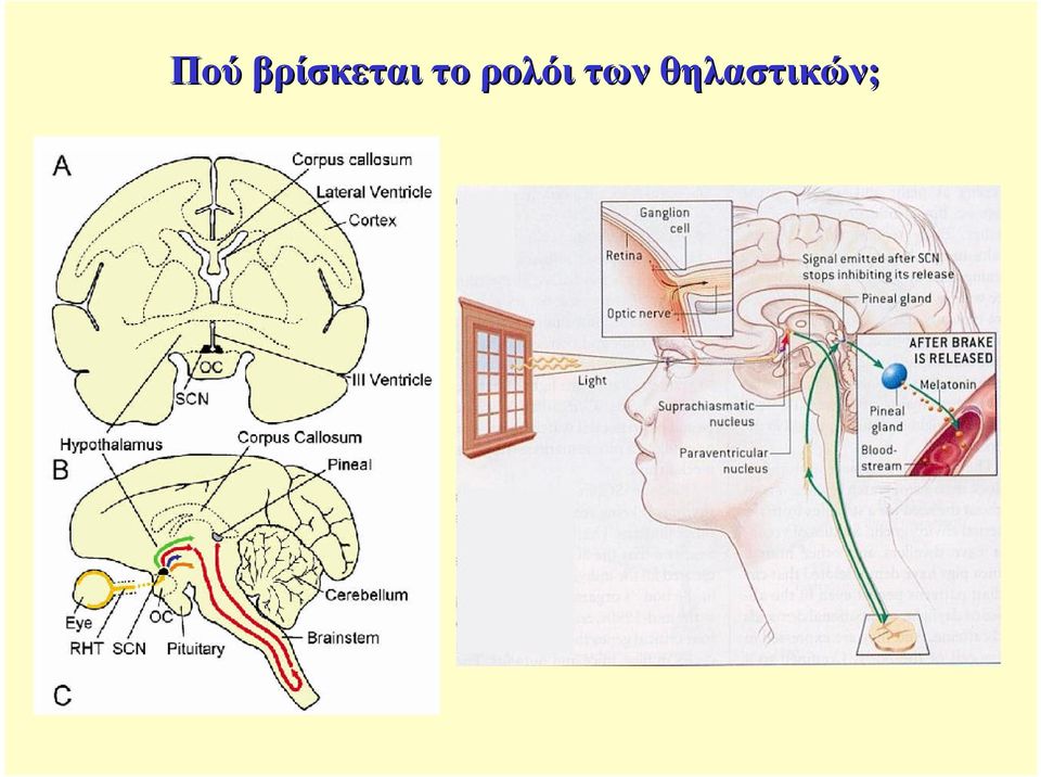 το ρολόι