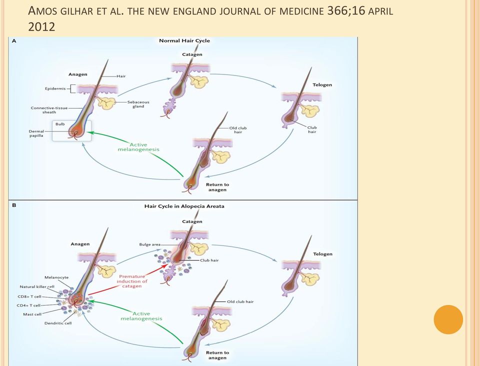 JOURNAL OF