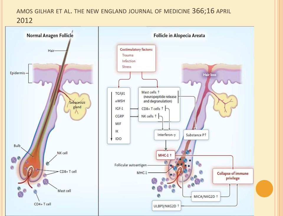 JOURNAL OF