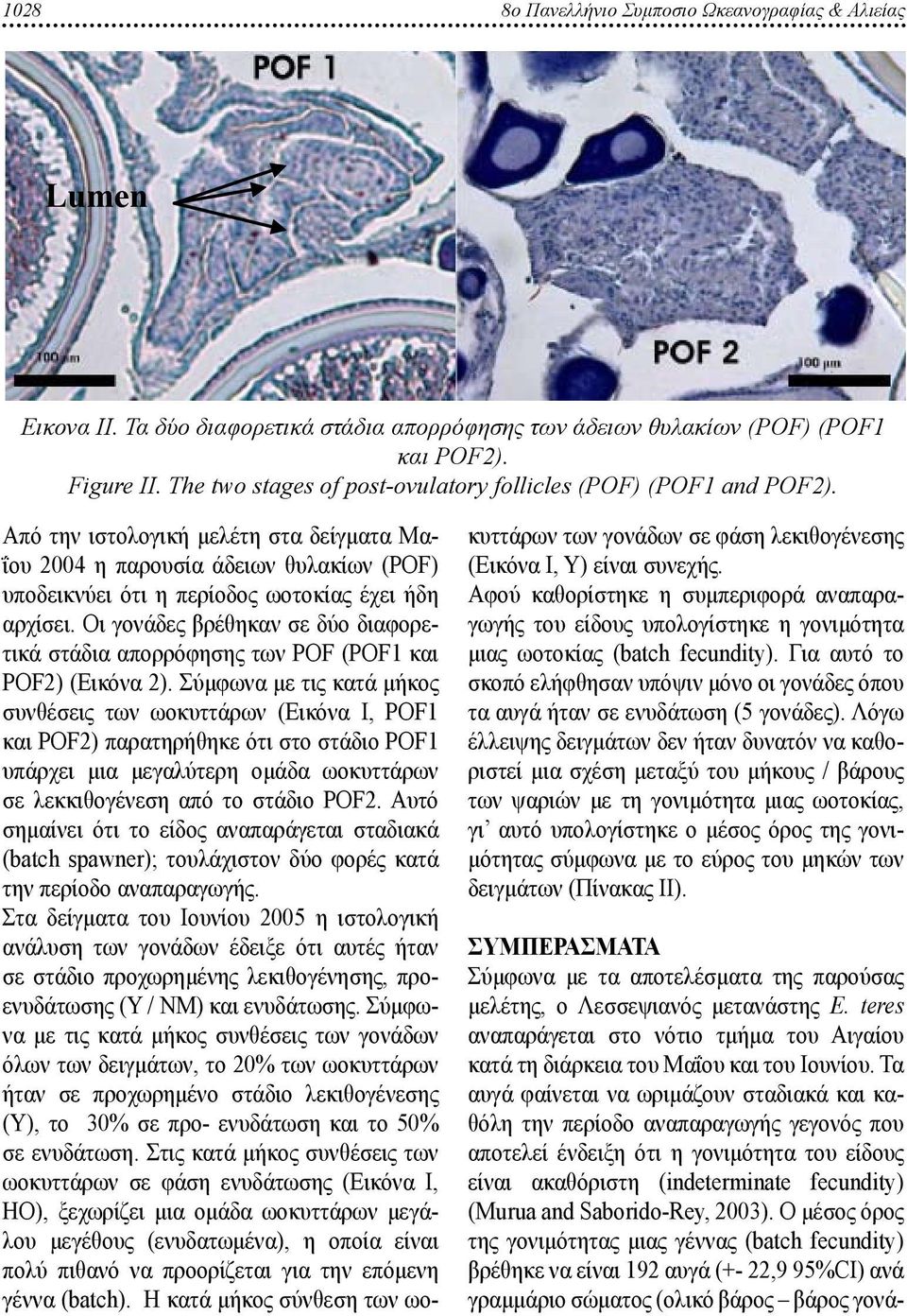The two stages of post-ovulatory follicles (POF) (POF1 and POF2). Από την ιστολογική μελέτη στα δείγματα Μαΐου 24 η παρουσία άδειων θυλακίων (POF) υποδεικνύει ότι η περίοδος ωοτοκίας έχει ήδη αρχίσει.