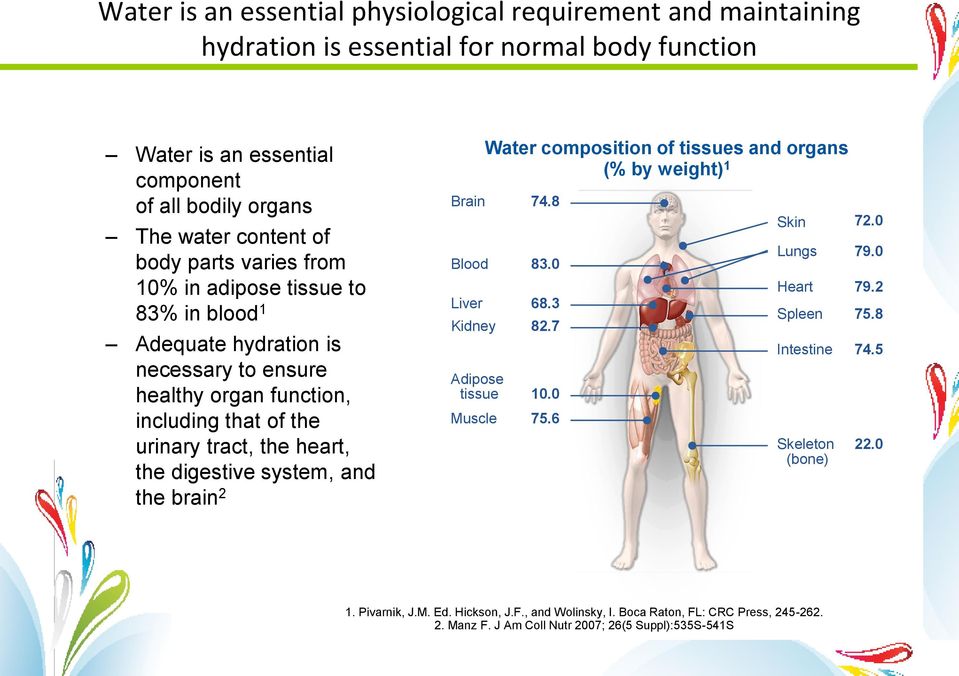 digestive system, and the brain 2 Brain Blood Liver Kidney Adipose tissue Muscle Water composition of tissues and organs (% by weight) 1 74.8 83.0 68.3 82.7 10.0 75.