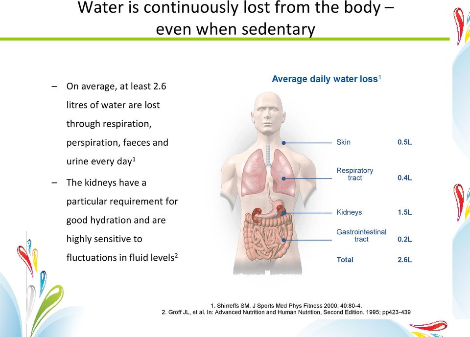 particular requirement for good hydration and are highly sensitive to fluctuations in fluid levels 2 Skin 0.5L Respiratory tract 0.