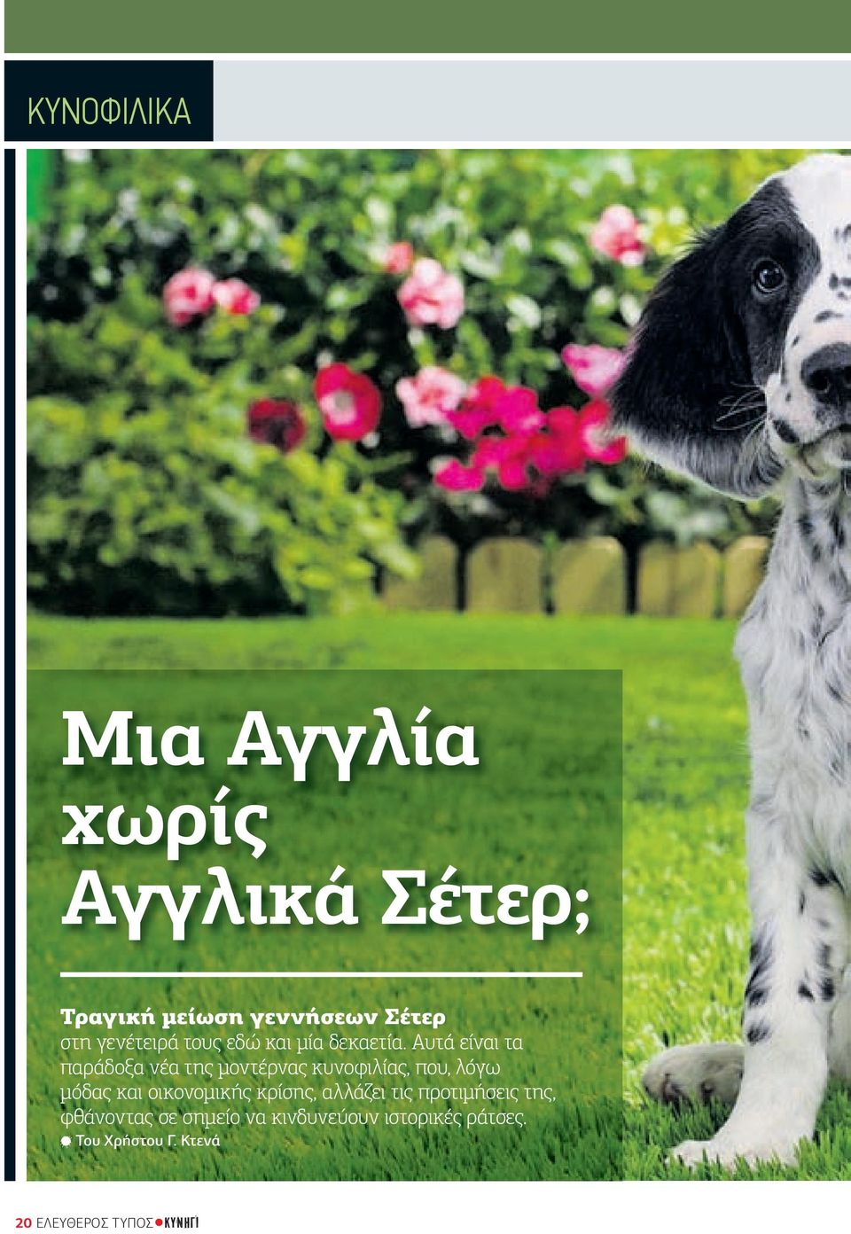 Αυτά είναι τα παράδοξα νέα της µοντέρνας κυνοφιλίας, που, λόγω µόδας και