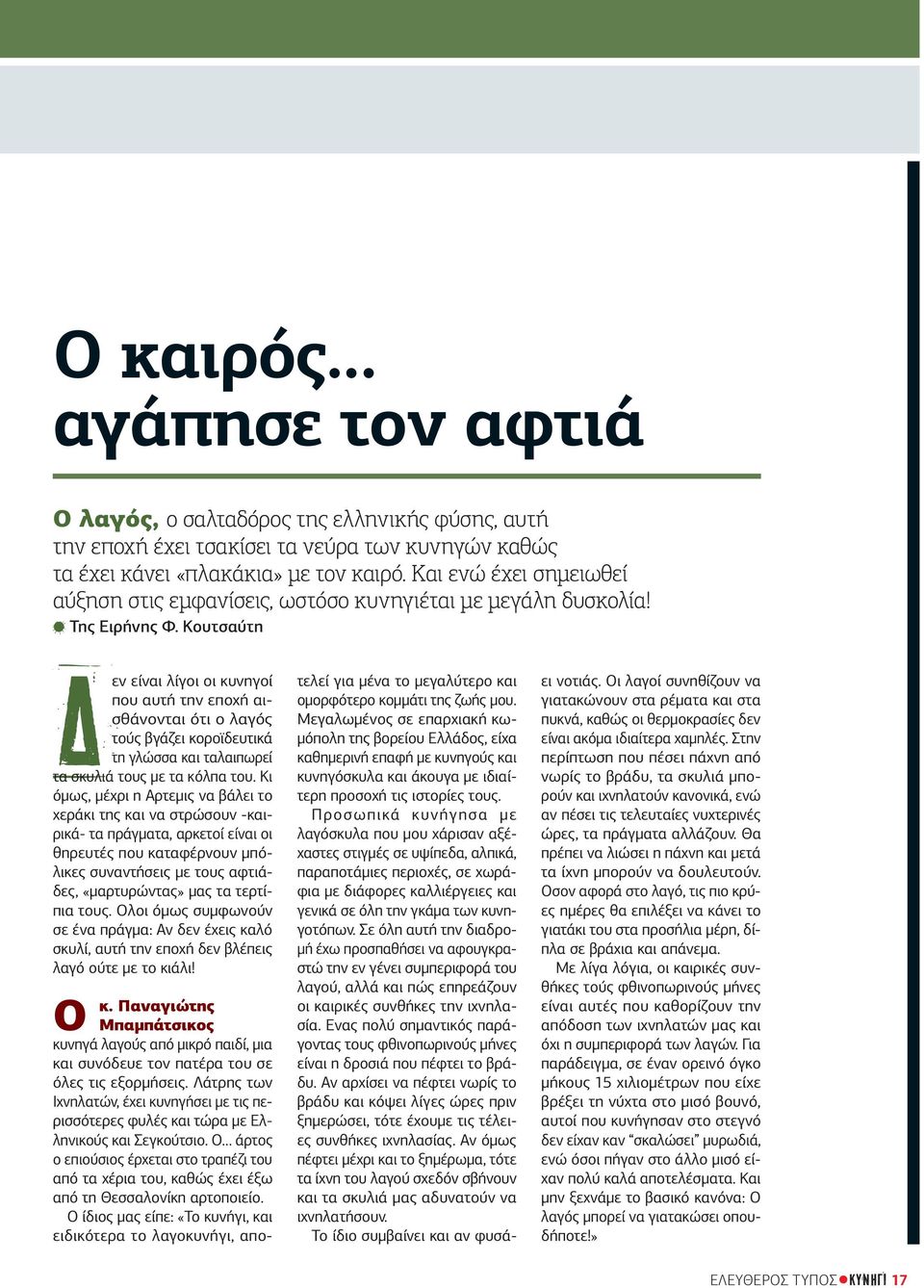Κουτσαύτη Δεν είναι λίγοι οι κυνηγοί που αυτή την εποχή αισθάνονται ότι ο λαγός τούς βγάζει κοροϊδευτικά τη γλώσσα και ταλαιπωρεί τα σκυλιά τους με τα κόλπα του.