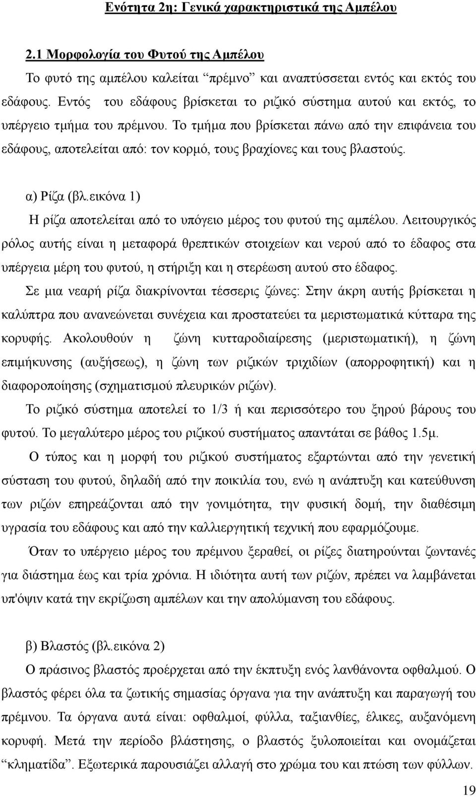 Σμ ηιήια πμο ανίζηεηαζ πάκς απυ ηδκ επζθάκεζα ημο εδάθμοξ, απμηεθείηαζ απυ: ημκ ημνιυ, ημοξ αναπίμκεξ ηαζ ημοξ αθαζημφξ. α) Ρίγα (αθ.