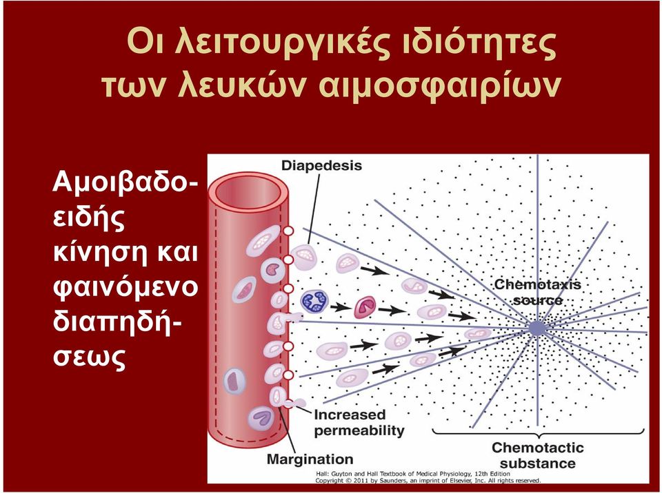 αιμοσφαιρίων