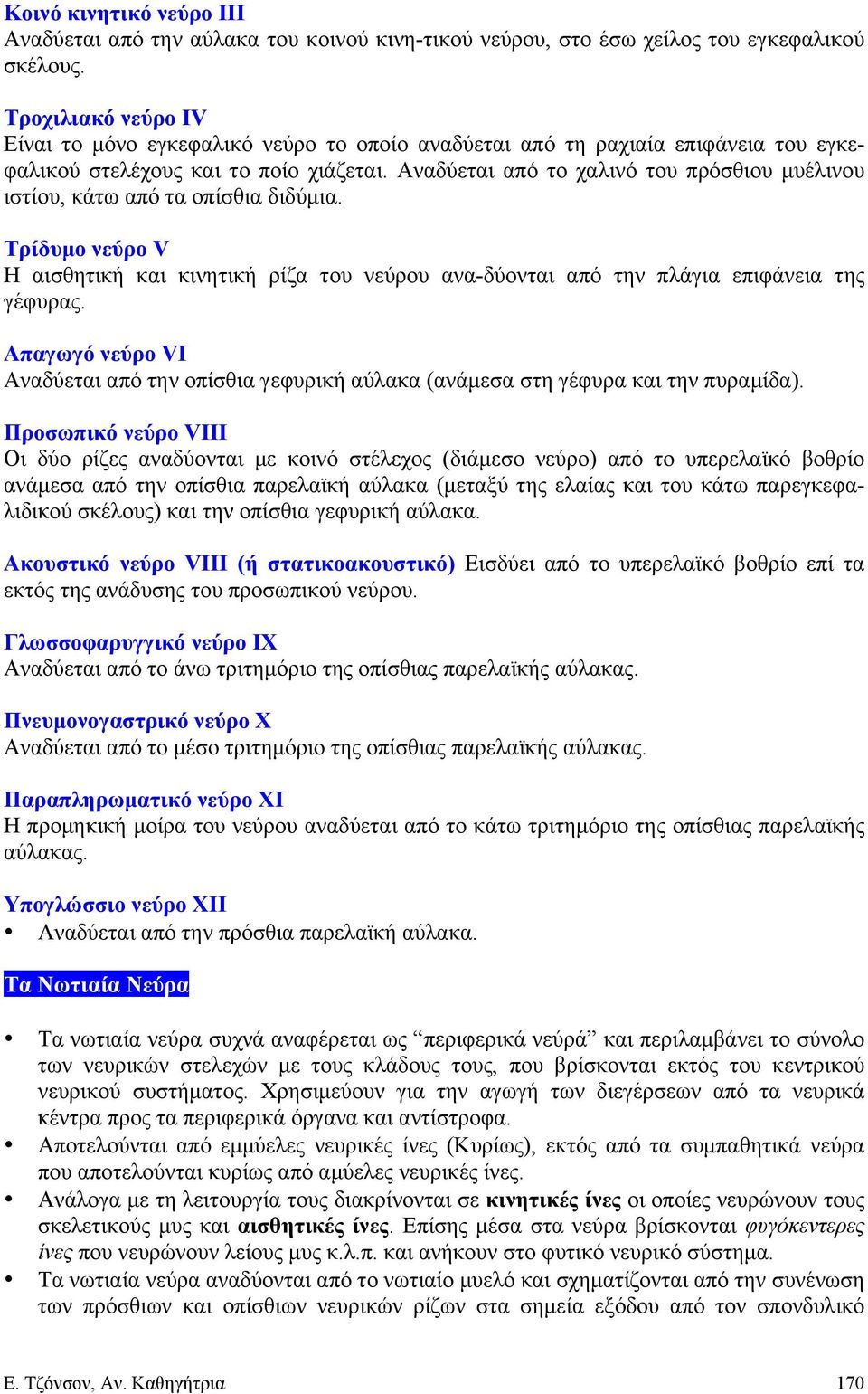 Αναδύεται από το χαλινό του πρόσθιου µυέλινου ιστίου, κάτω από τα οπίσθια διδύµια. Τρίδυµο νεύρο V Η αισθητική και κινητική ρίζα του νεύρου ανα-δύονται από την πλάγια επιφάνεια της γέφυρας.