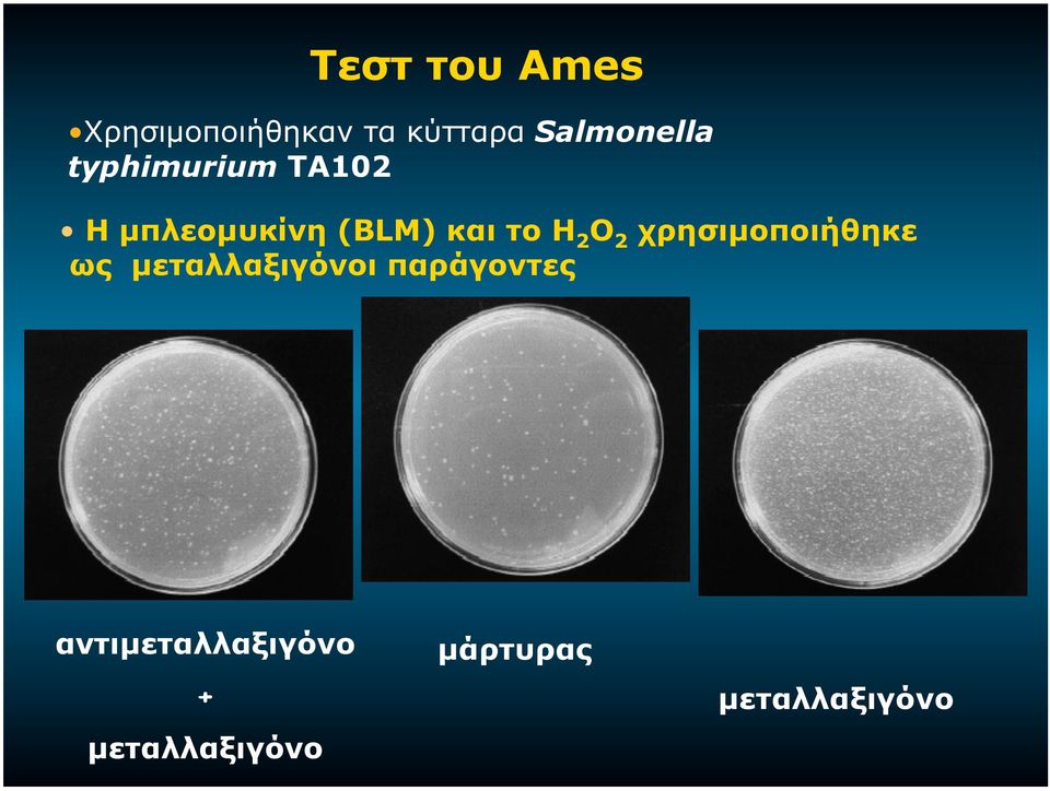 και το Η 2 Ο 2 χρησιµοποιήθηκε ως µεταλλαξιγόνοι