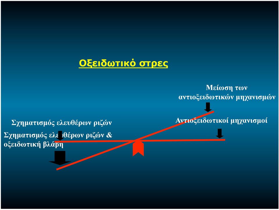 ελευθέρων ριζών Σχηµατισµός ελευθέρων