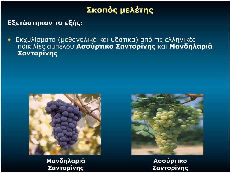ποικιλίες αµπέλου Ασσύρτικο Σαντορίνης και