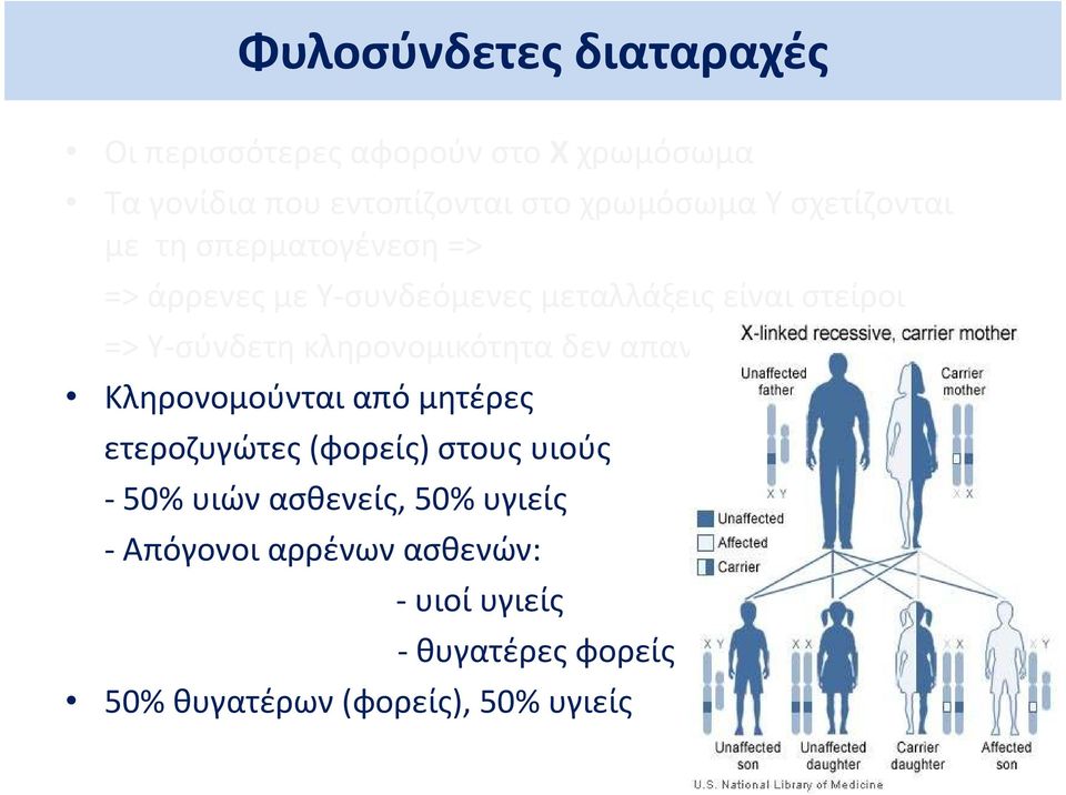 κληρονομικότητα δεν απαντάται Κληρονομούνται από μητέρες ετεροζυγώτες(φορείς) στους υιούς - 50% υιών