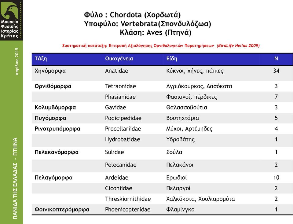 Κολυμβόμορφα Gavidae Θαλασσοβούτια 3 Πυγόμορφα Podicipedidae Βουτηχτάρια 5 Ρινοτρυπόμορφα Procellariidae Μύχοι, Αρτέμηδες 4 Hydrobatidae Υδροβάτης 1 Πελεκανόμορφα