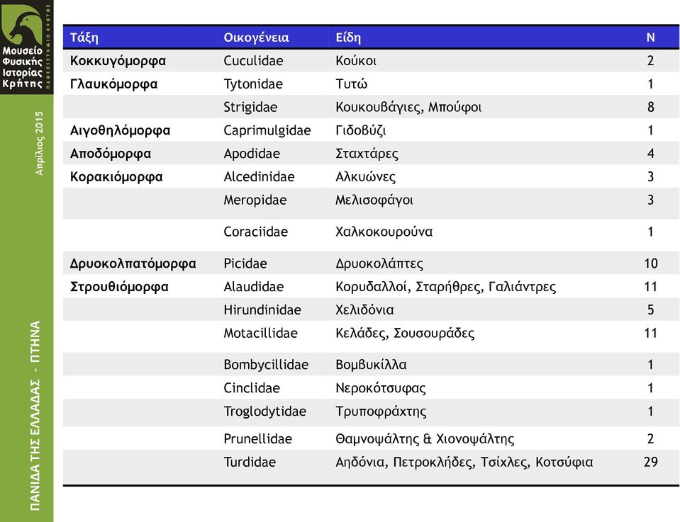 Picidae Δρυοκολάπτες 10 Στρουθιόμορφα Alaudidae Κορυδαλλοί, Σταρήθρες, Γαλιάντρες 11 Hirundinidae Χελιδόνια 5 Motacillidae Κελάδες, Σουσουράδες 11