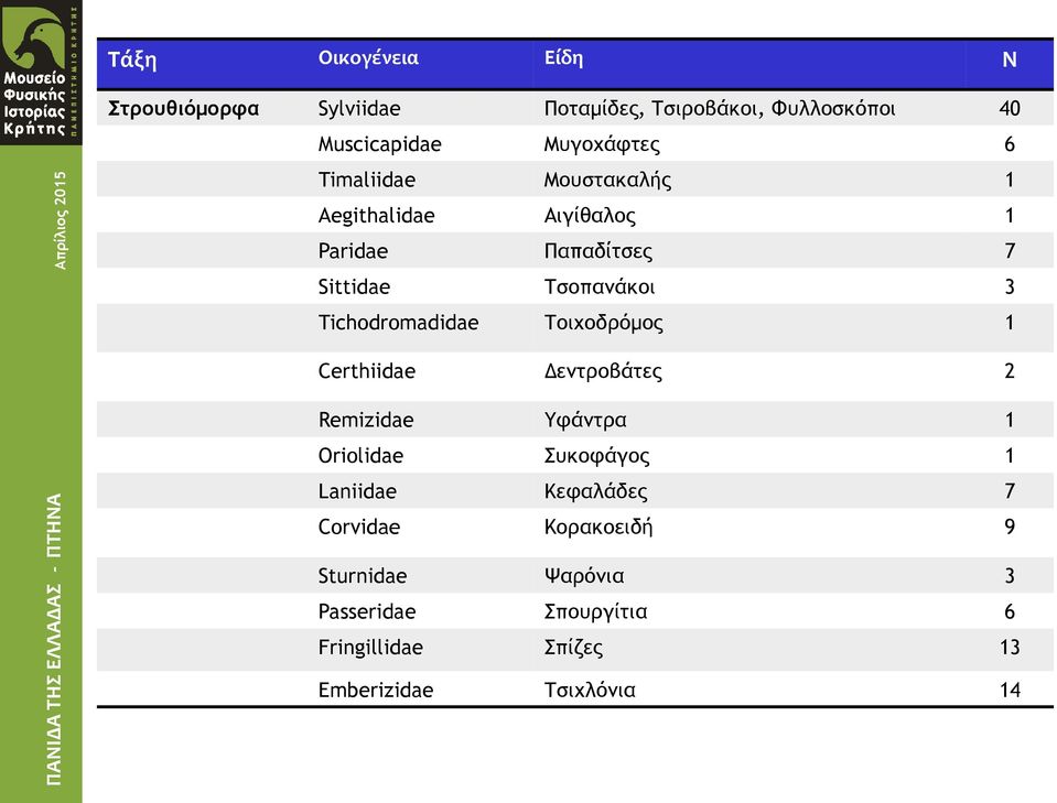 Tichodromadidae Τοιχοδρόμος 1 Certhiidae Δεντροβάτες 2 Remizidae Υφάντρα 1 Oriolidae Συκοφάγος 1 Laniidae