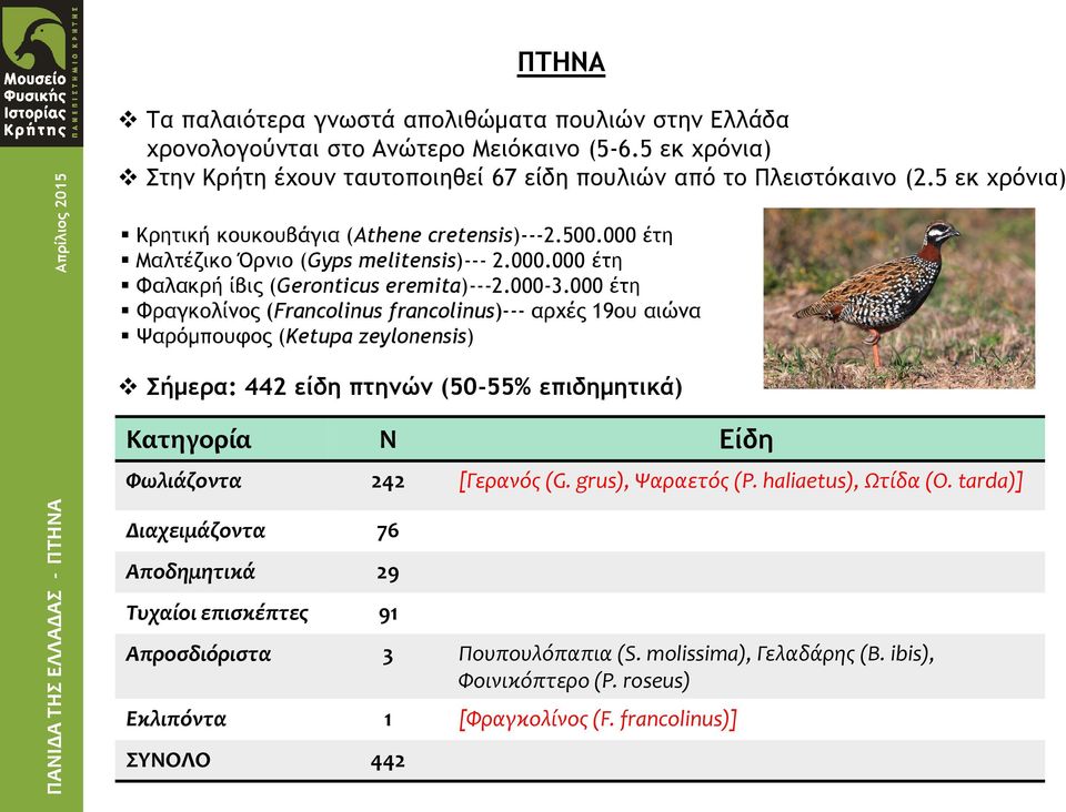 000 έτη Φραγκολίνος (Francolinus francolinus)--- αρχές 19ου αιώνα Ψαρόμπουφος (Ketupa zeylonensis) Σήμερα: 442 είδη πτηνών (50-55% επιδημητικά) Κατηγορία Ν Είδη Φωλιάζοντα 242 [Γερανός (G.