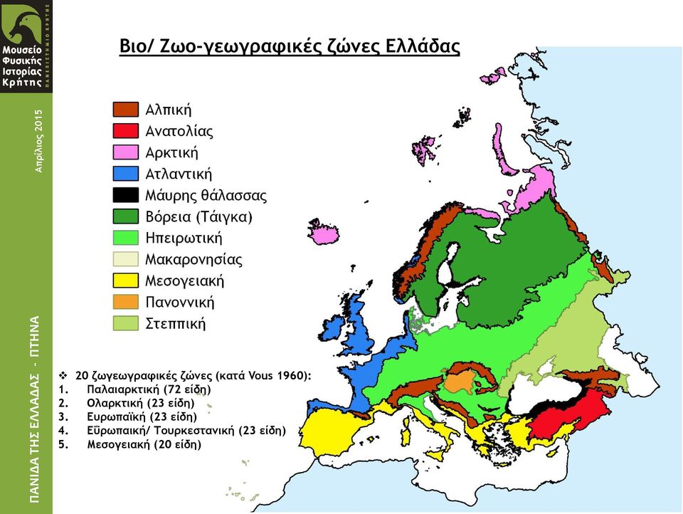Ολαρκτική (23 είδη) 3. Ευρωπαϊκή (23 είδη) 4.