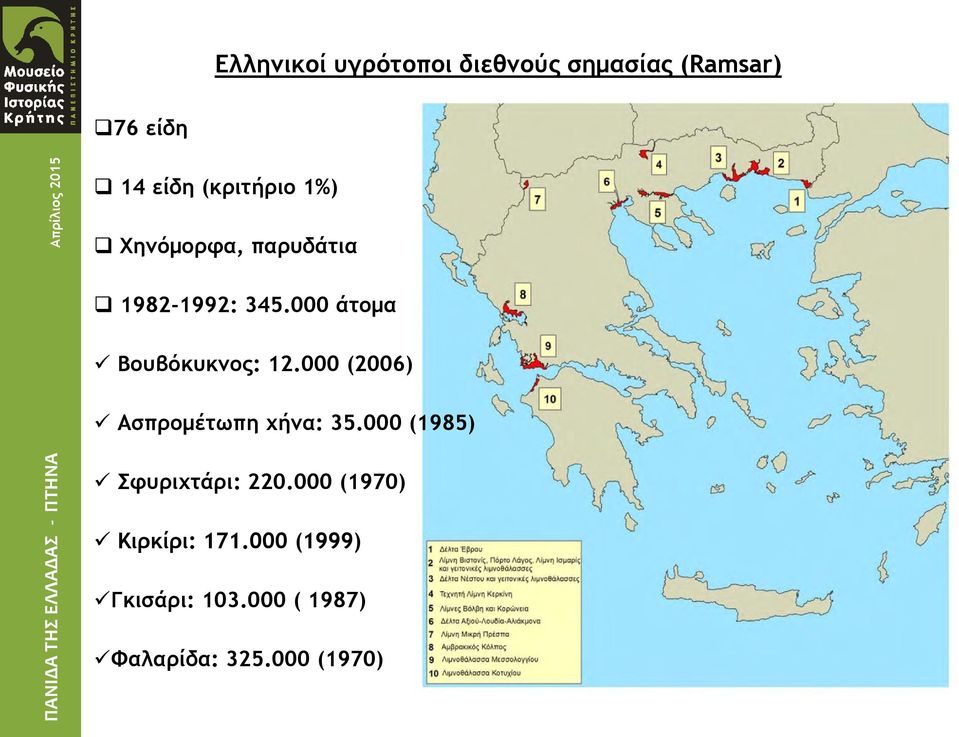 000 άτομα Βουβόκυκνος: 12.000 (2006) Ασπρομέτωπη χήνα: 35.