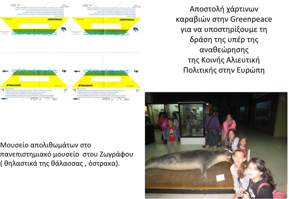 Αποστολή χάρτινων καραβιών στην Greenpeace για να