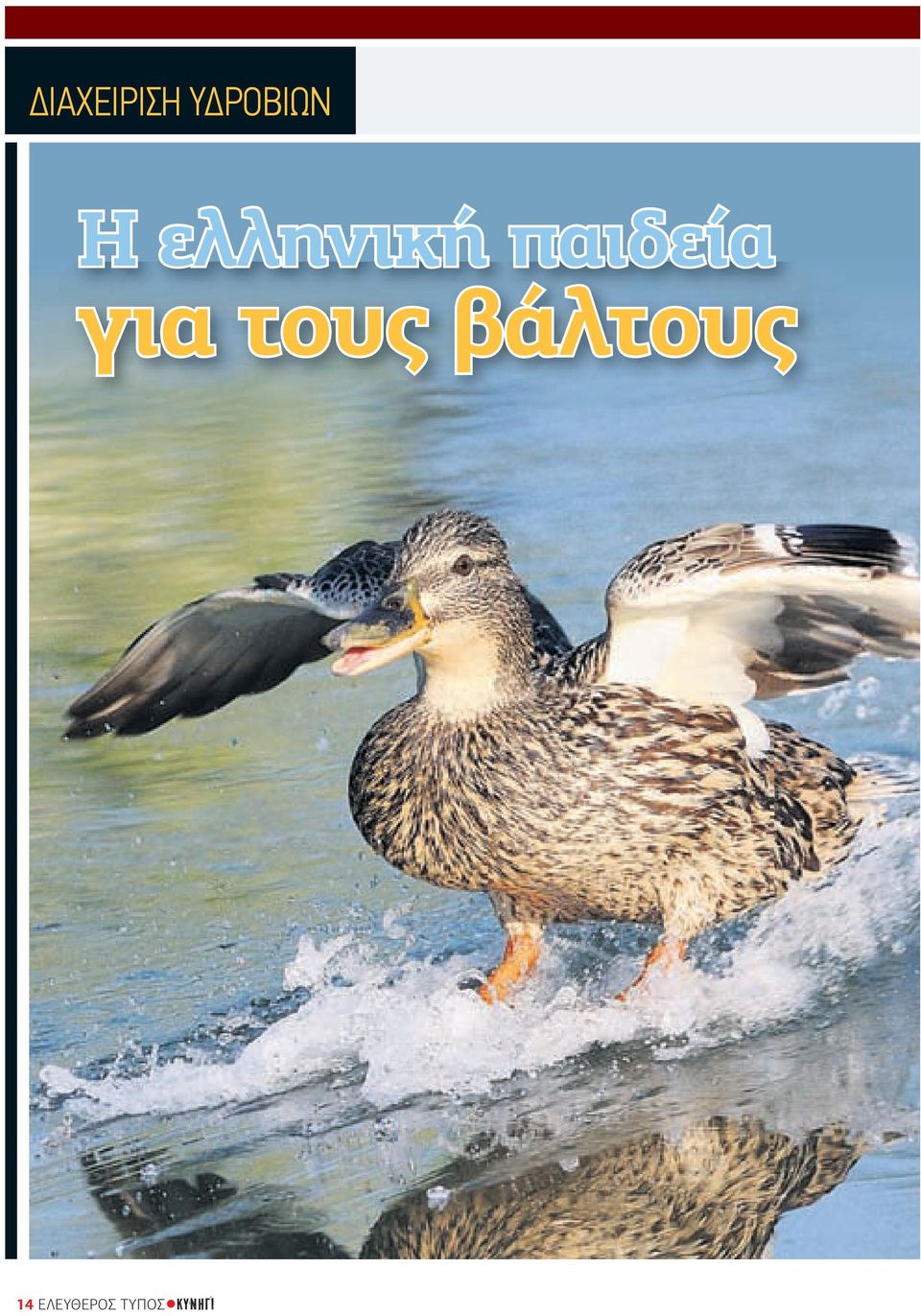 για τους βάλτους 14