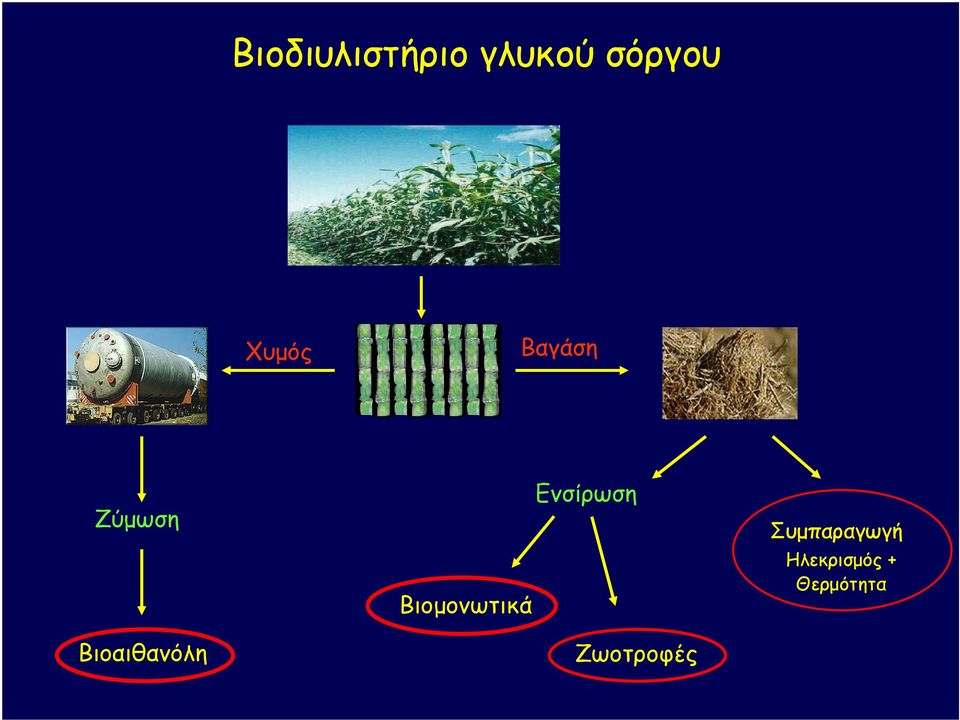 Βιοµονωτικά Ενσίρωση Ζωοτροφές