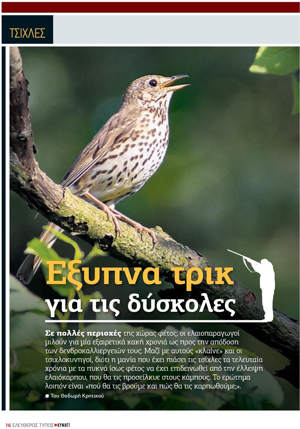 Μαζί µε αυτούς «κλαίνε» και οι τσιχλοκυνηγοί, διότι η µανία που έχει πιάσει τις τσίχλες τα τελευταία χρόνια µε τα πυκνά ίσως