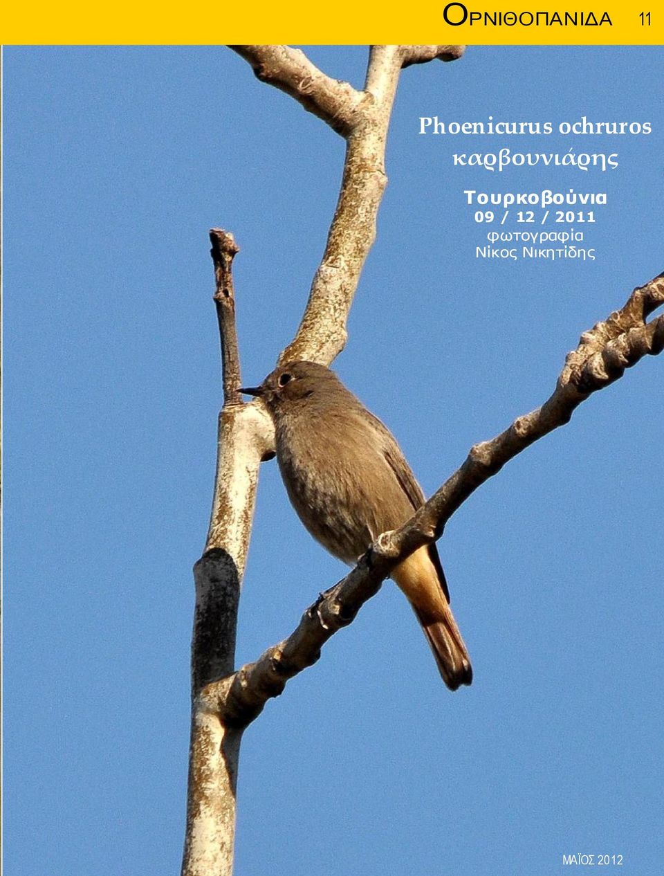 Τουρκοβούνια 09 / 12 / 2011