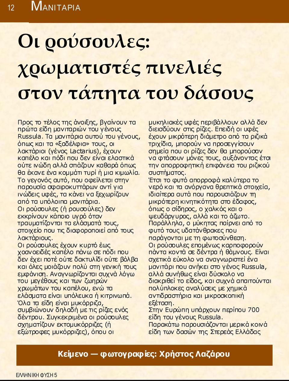 ή μια κιμωλία. Το γεγονός αυτό, που οφείλεται στην παρουσία σφαιροκυττάρων αντί για ινώδεις υφές, τα κάνει να ξεχωρίζουν από τα υπόλοιπα μανιτάρια.