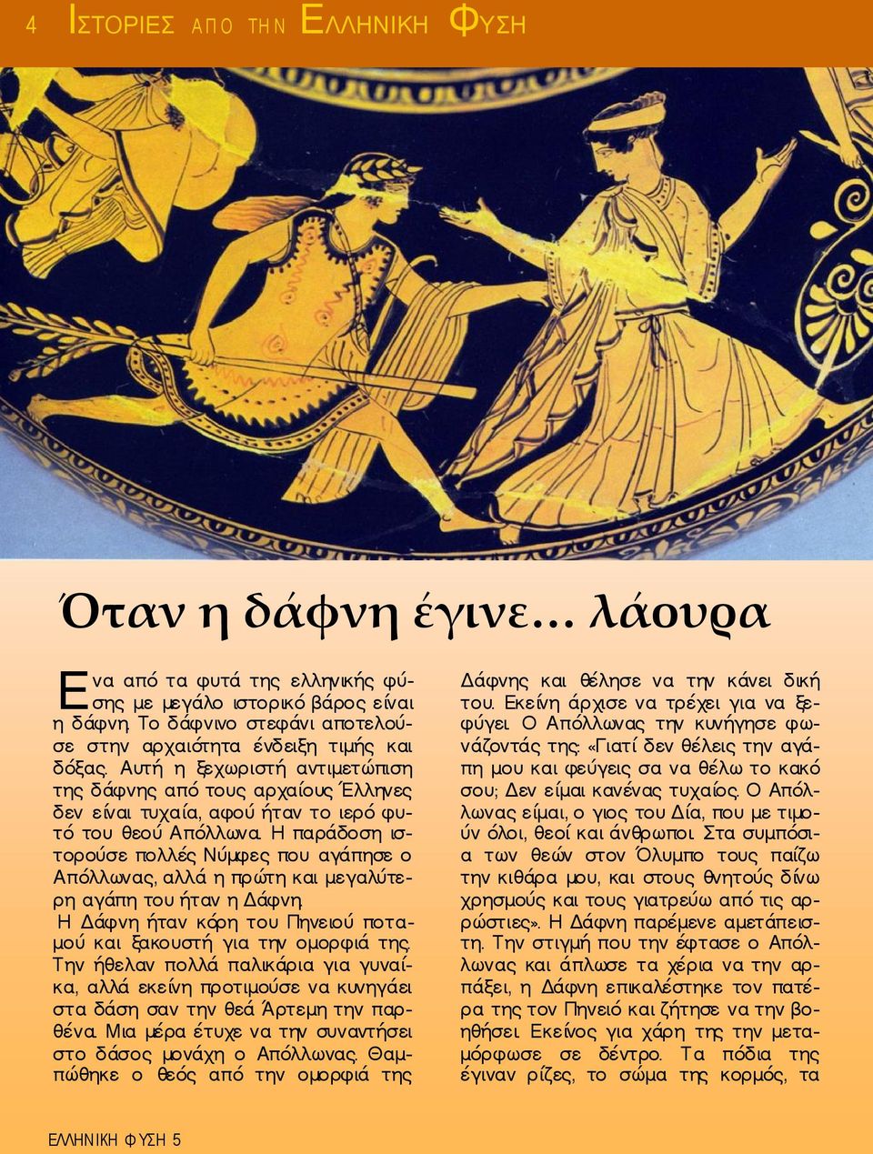 Η παράδοση ιστορούσε πολλές Νύμφες που αγάπησε ο Απόλλωνας, αλλά η πρώτη και μεγαλύτερη αγάπη του ήταν η Δάφνη. Η Δάφνη ήταν κόρη του Πηνειού ποταμού και ξακουστή για την ομορφιά της.