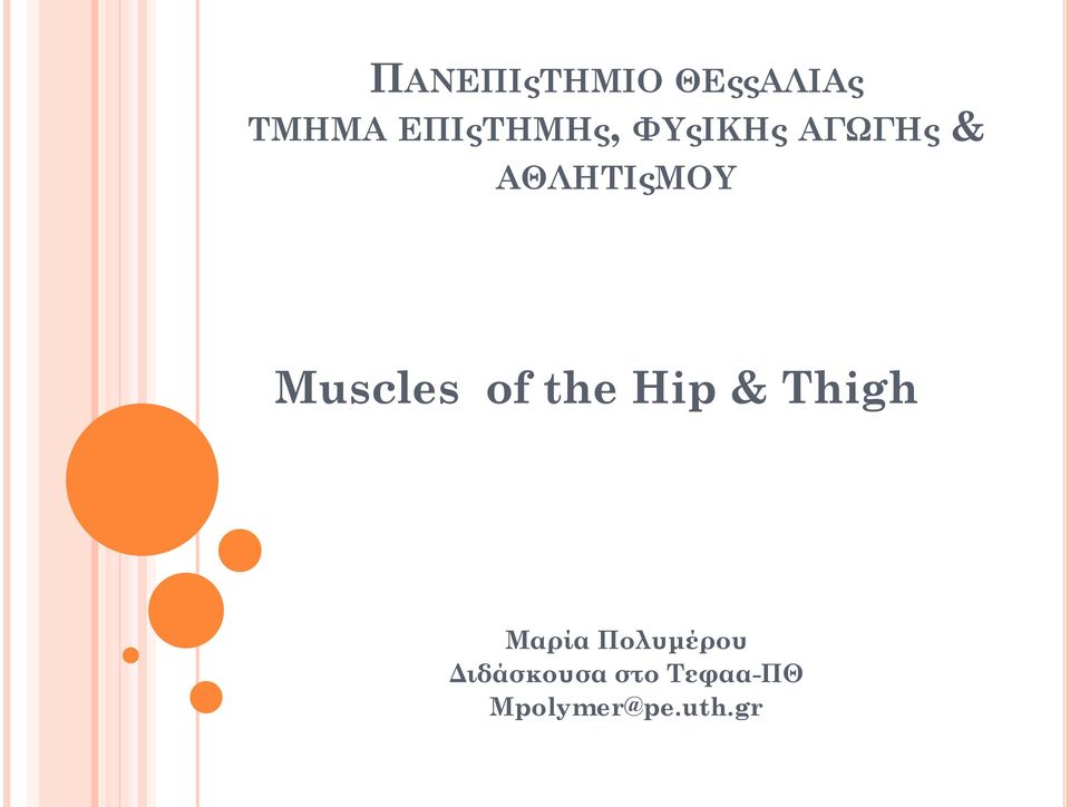 Muscles of the Hip & Thigh Μαρία